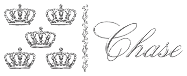 X-Chase logo